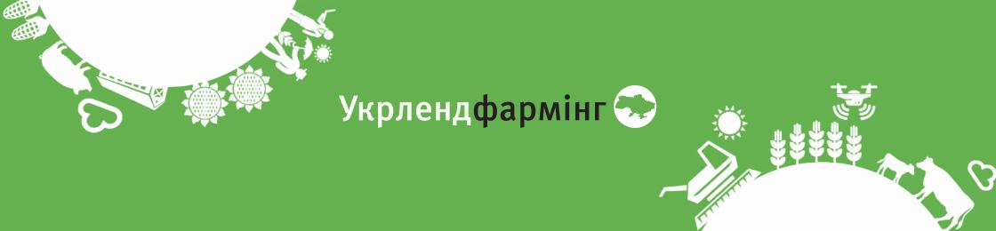 Банер - Головний енергетик