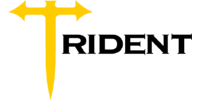 Лого - Trident Group