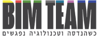 Лого - Bimteam ltd