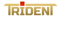 Лого - Trident