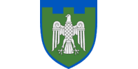 Лого - 107 ОБр Сил ТрО