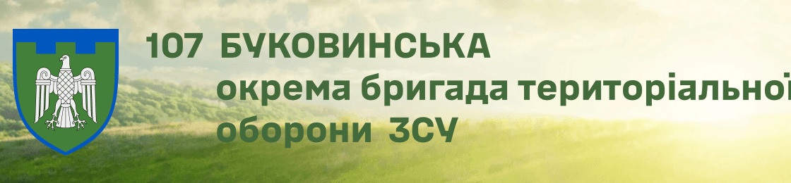 Банер - Електрик (Сили ТрО)
