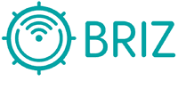 Лого - Briz